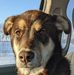 Wade Wolfe - Facebook
