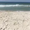 Wade_Wolfe - @user759392885477181 - TikTok