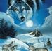 Wite Wolf - Facebook