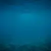 Wolfe Wade - @wolfewade936 - TikTok