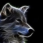 Wade Wolff - @wadewolff.13 - Instagram
