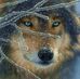 White Wolf - Facebook