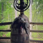 Wade Wood - @wadewood_18 - Instagram