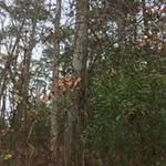 Wade Woolard - @wade.woolard - Instagram