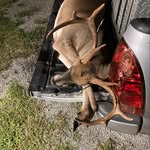 Wade Woolard - @wade_woolard - Instagram