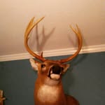wadewoolard - @wadewoolard4143 - Instagram