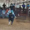 Wade Woolsey - @wadewoolsey - TikTok