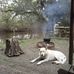 Wade East - Facebook