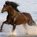 Wael Abdullah - @wael.abdullah.77 - Instagram