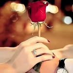 Wael Abdullah - @waelabdullah58 - Instagram