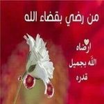 وائل ابو رضا - @wael.assi.923 - Instagram