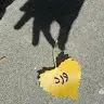 وائل عاصي - @waelassi3 - TikTok