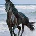 Wael Farouk - Facebook