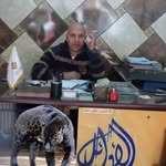 Wael Farouk - @_.wael_farouk._ - Instagram