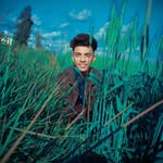 Wael Farouk - @waelfarouk194 - Instagram