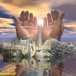 Wael Farouk - @waelfarouk61 - Instagram