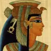 wael farouk - @wael.farouk53 - TikTok
