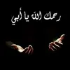 Wael Farouk - @waelfarouk86 - TikTok