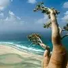 Wael Hamza - @waelhamza3 - TikTok