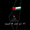 Wael Hamza - @wael.hamza5 - TikTok