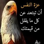 Wael Hussein - @wael.hussein200009 - Instagram