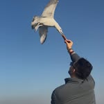 Wael Ben Othman - @wael.ben.othmen - Instagram