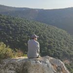 Wa'el Othman - @wael_othman0 - Instagram