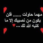 Wael Othman - @wael.othman.71 - Instagram