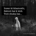 wafa abbasi - @wafaamir48 - Instagram