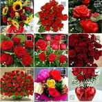 Wafa Abbasi - Facebook