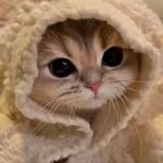 Wafa abbasi - @wafasarnag - Instagram