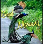 Wafa Ali Abbasi - Facebook