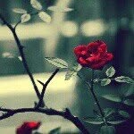 Wafa Aslam - @vafaaslam - Instagram