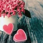 Wafa Awad Allha - @wafaawadallha - Instagram