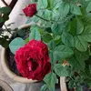 wafaawadaa - @wafaawadaa - TikTok
