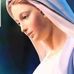 Wafa Dahdal - Facebook