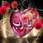 Wafa Farah - @wafa3449 - Instagram