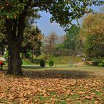 Wafa Iqbal - @wafaiqbal23 - Instagram