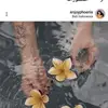 wafakhalil505 - @wafakhalil505 - TikTok