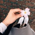 Wafa Matar - @matar.wafa - Instagram