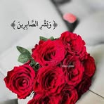 Wafa Mohamed - Facebook