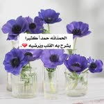 Wafa Mohammed - @wafa_.mohamed - Instagram