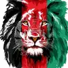 mohammadwafa46 - @mohammadwafa46 - TikTok