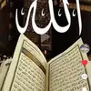 Wafamohammad0 - @wafamohammad922 - TikTok