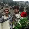 Murad Wafadar - @muradwafadar - TikTok