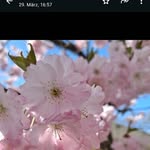 Wafa Murad - @wafa480950 - Instagram