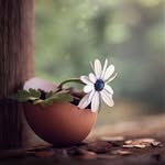 Wafaamurad - @wafa_murad_ - Instagram