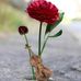 Wafa Nasir - Facebook