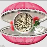 Wafa Nasr - @wafa2.nasr - Instagram