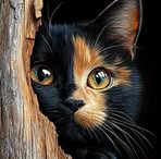 Wafa Nasr - Facebook